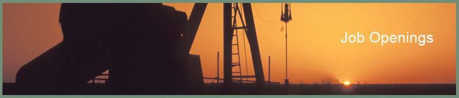 La empresa con sede en Dubai es especialista en servicios petroleros.