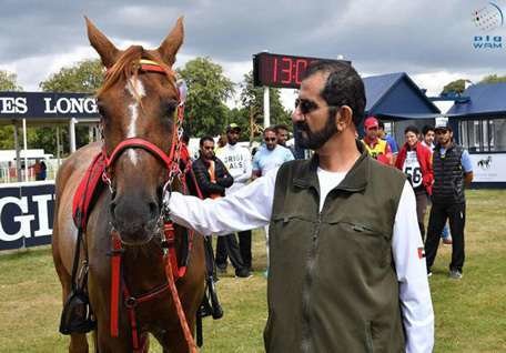 El gobernador de Dubai junto a uno de los caballos participantes en el evento deportivo.