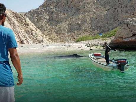 El pescador de Omán con la ballena al fondo.