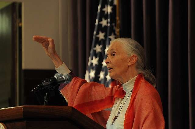 La primatóloga Jane Goodall durante una conferencia.