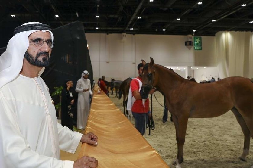 El gobernador de Dubai durante su visita a la Feria del Caballo de Dubai.