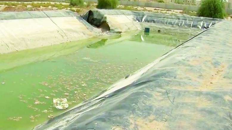 Una imagen del estanque al que cayeron los niños ahogados en Abu Dhabi.