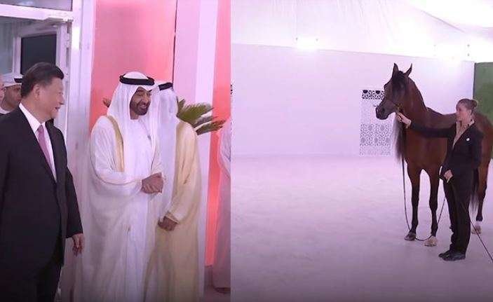 El príncipe heredero de Abu Dhabi y el presidente chino junto al caballo purasangre. 