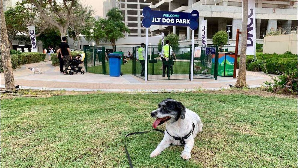 El nuevo parque para perro en JLT de Dubai. (WAM)