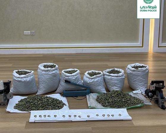 La droga confiscada durante la 'Operación Legumbres'. (Dubai Police)