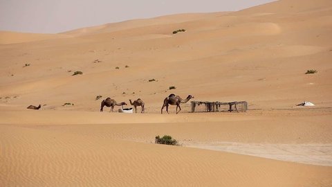 Desierto de Liwa, al sur de Abu Dhabi, donde las temperaturas alcanzan los 50 grados. (EL CORREO)