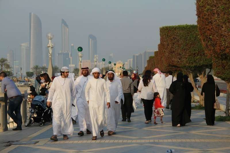 El Ejército de Emiratos muestra su