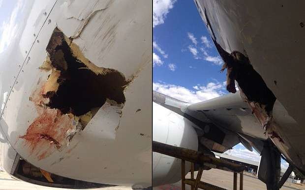La imagen de Twitter muestra el agujero que provocó el pájaro en el avión.