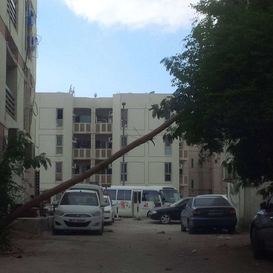 Un árbol caído por el viento en la zona de Karama en Dubai.