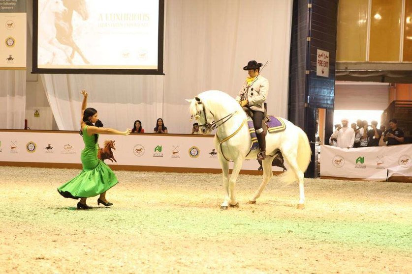 Espectáculo de baile con un caballo español