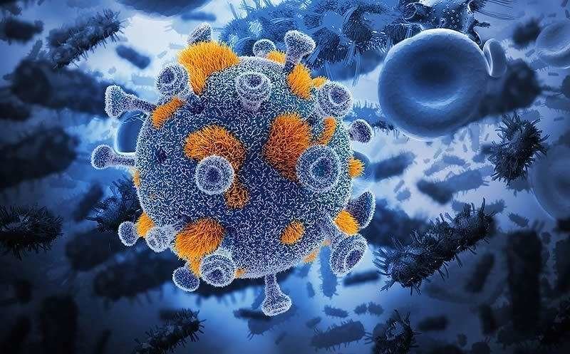 La inmunoterapia es la nueva esperanza contra el cáncer.