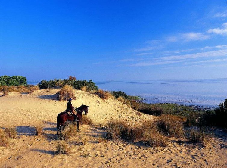 Pasear a caballo por las playas de Doñana es una de las grandes experiencias que ofrece la provincia de Huelva. 