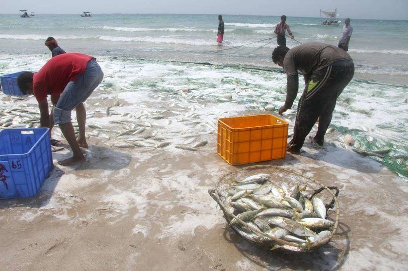 Pescadores recogen sus capturas en la playa de Sha'am, en el norte de Ras Al Khaimah. (EL CORREO)