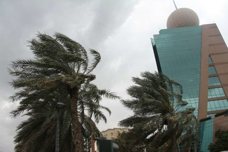 Palmeras azotadas por el intenso viento en las proximidades del edificio de Etisalat en Ras Al Khaimah. (EL CORREO)