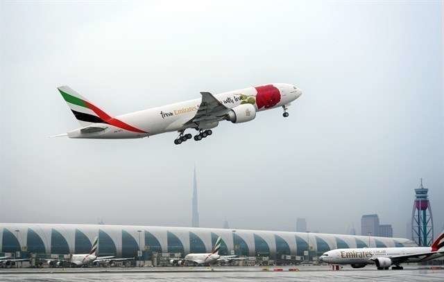 Avión de Emirates Airline decorado con una rosa.