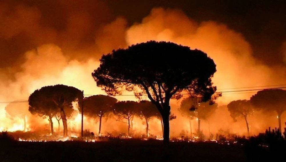Las llamas arrasan el Paraje Natural de Doñana en Huelva. (Antena 3)