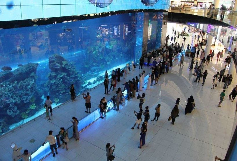 Una imagen del Acuario de Dubai Mall. (EL CORREO)