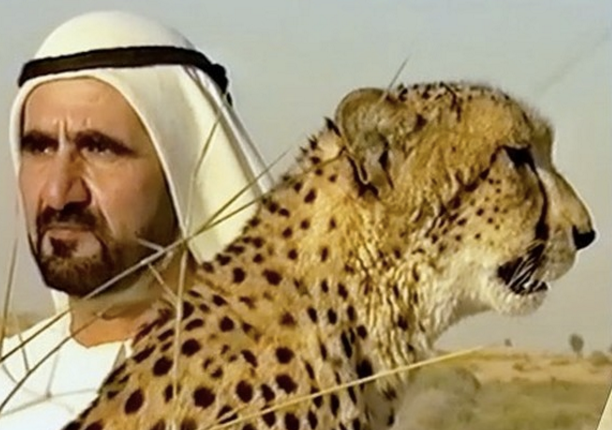 El jeque Mohamed bin Rashid Al Maktoum junto al guepardo en el vídeo. (Instagram)