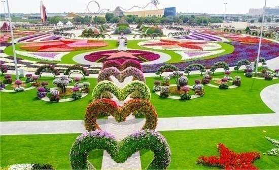Una perspectiva de Dubai Miracle Garden.