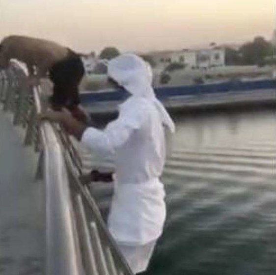 Una captura del vídeo del salto del Canal de Dubai.