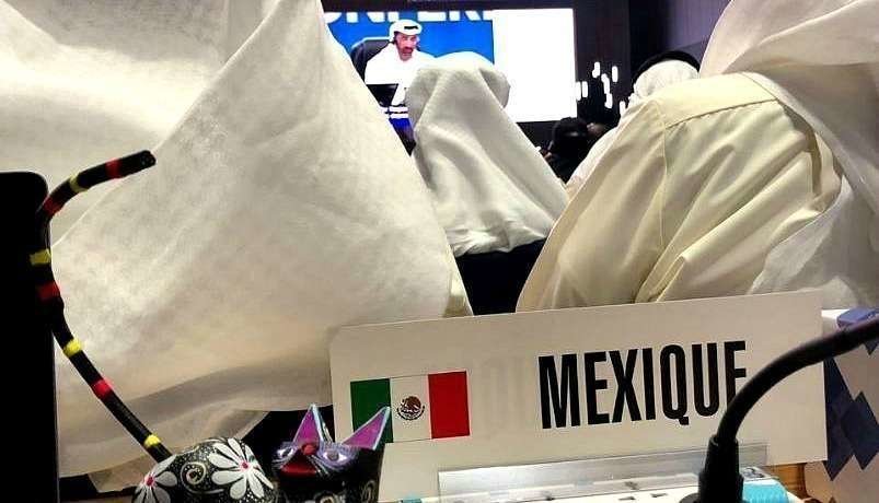 Posición de México en la XX Conferencia de la Unión Internacional de Telecomunicaciones que se desarrolla en Dubai. (@Fer_Borjon)