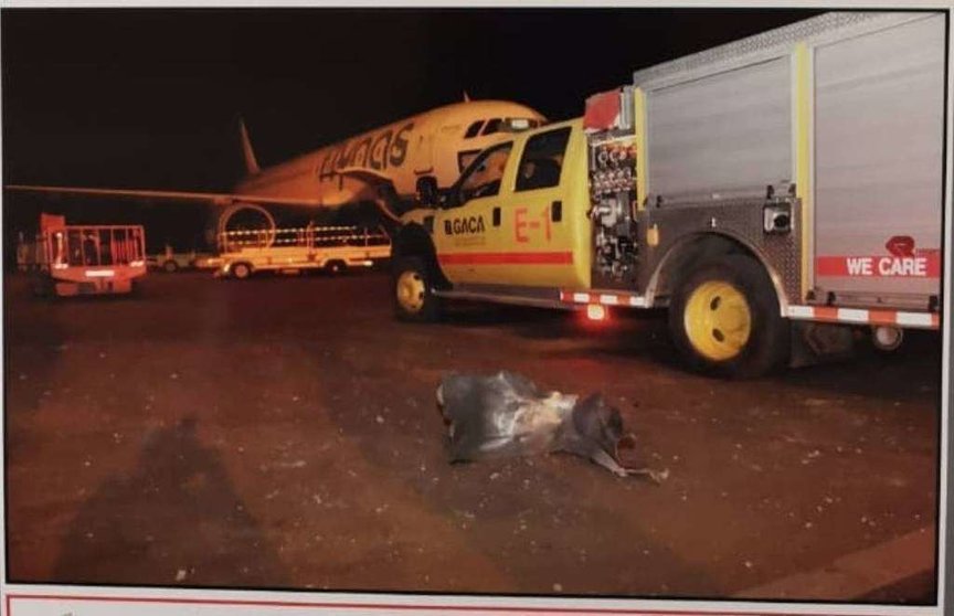 Restos del misil cerca de un avión en el aeropuerto saudí atacado.