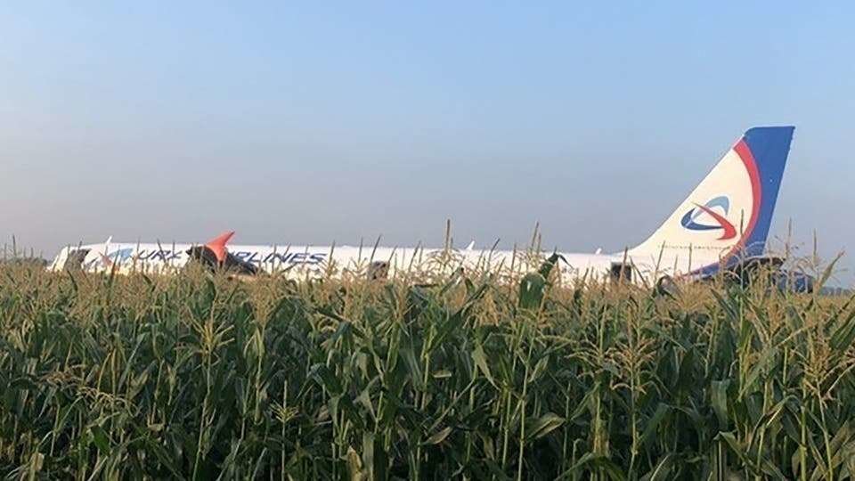 Imagen del avión de Ural Airlines tras su aterrizaje de emergencia en un campo de maíz en las proximidades de Moscú. (Internet)
