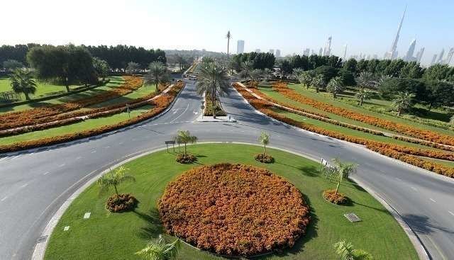 Nueva zona verde ajardinada en la ciudad de Dubai. (WAM)