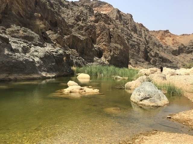 Wadi Arbeieen en pleno menos de julio. (ELCORREO)
