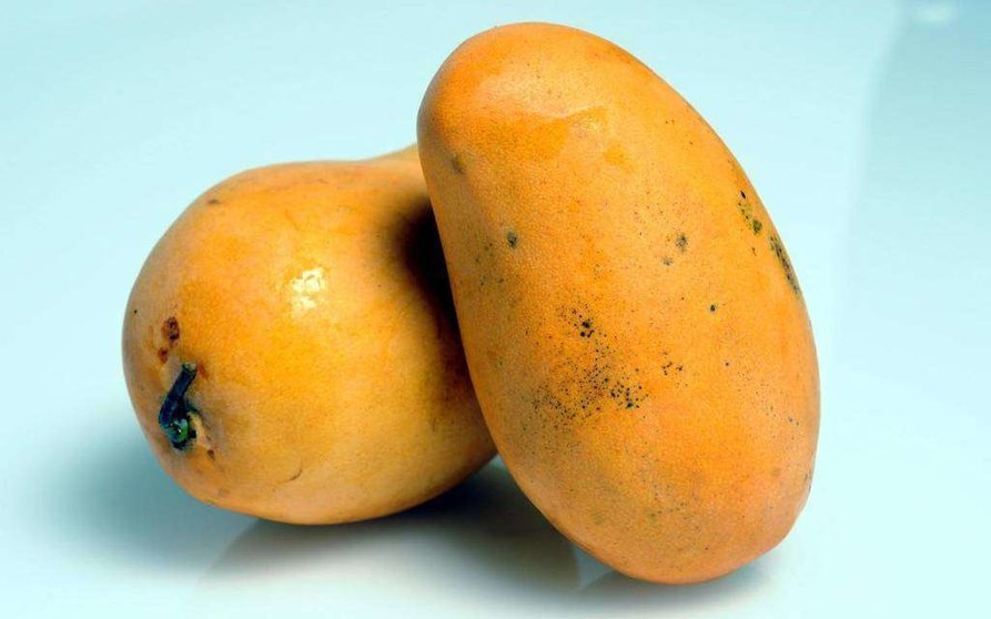 Los mangos robados se encuentran valorados en seis dirhams. (Fuente externa)