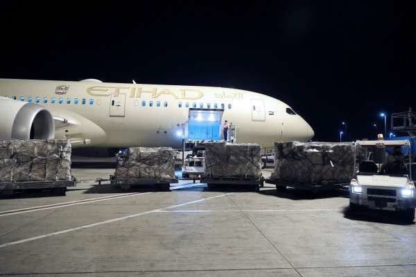 El avión de Etihad trasladó la carga de suministros médicos a Italia. (WAM)