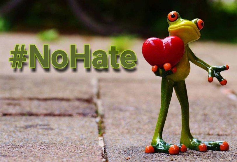 El hater es la persona que se dedica a criticar negativamente y ofendiendo sistemáticamente todo aquello que se le cruza por la vida.