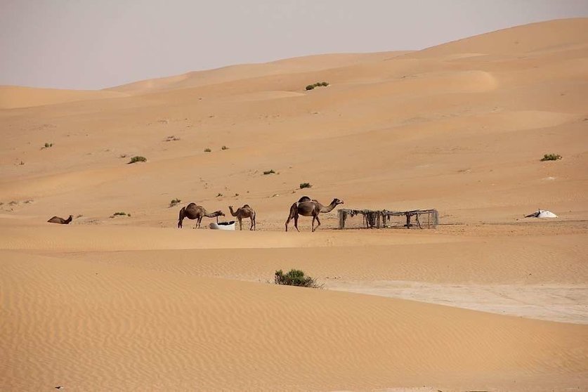 Desierto de Liwa, al sur de Abu Dhabi, donde las temperaturas alcanzan los 50 grados. (EL CORREO)