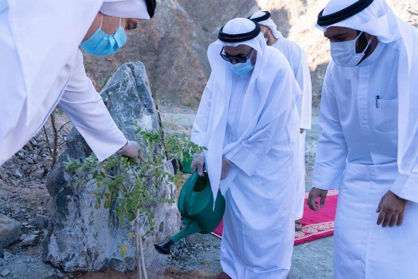 El gobernante de Sharjah riega una de las plantas tras la siembra. (WAM)