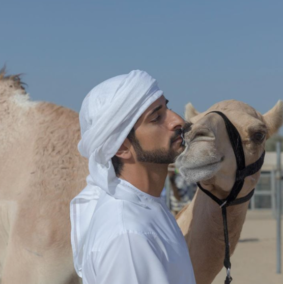 El príncipe heredero de Dubai junto a uno de sus camellos. (Instagram)
