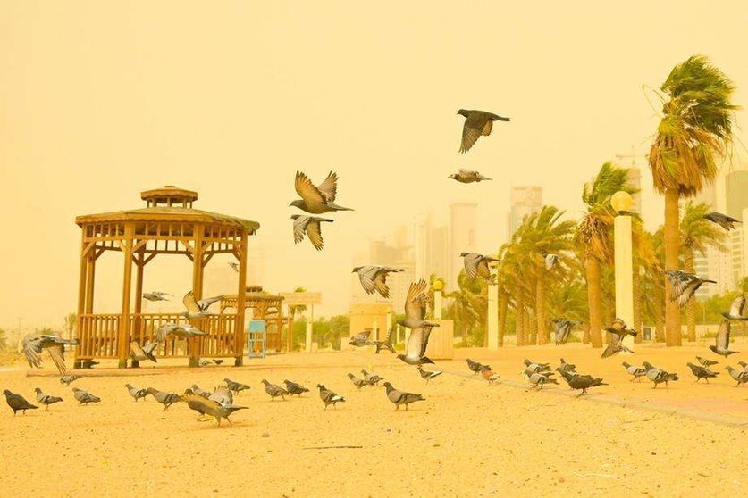 Una imagen de la tormenta de arena sobre Kuwait. (Fuente externa)