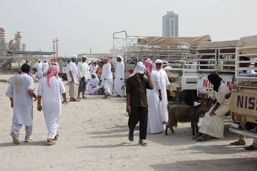 Mercado de corderos en Ras al Khaimah con motivo del Eid Al Adha. (EL CORREO)