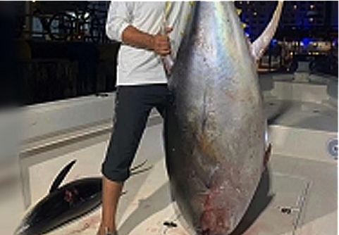 El atún de cien kilos en manos del pescador. (Twitter)