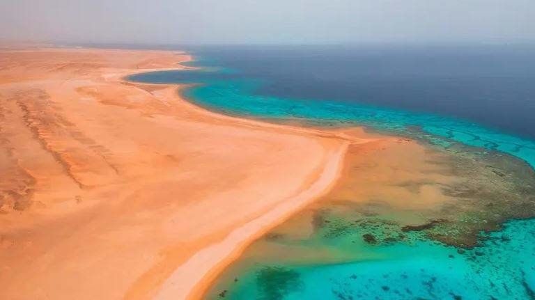 Una de las imágenes de los arrecifes en Arabia Saudita. (Twitter)