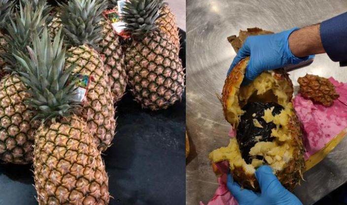 La Aduana de Dubai difundió esta imagen de la marihuana dentro de las piñas.