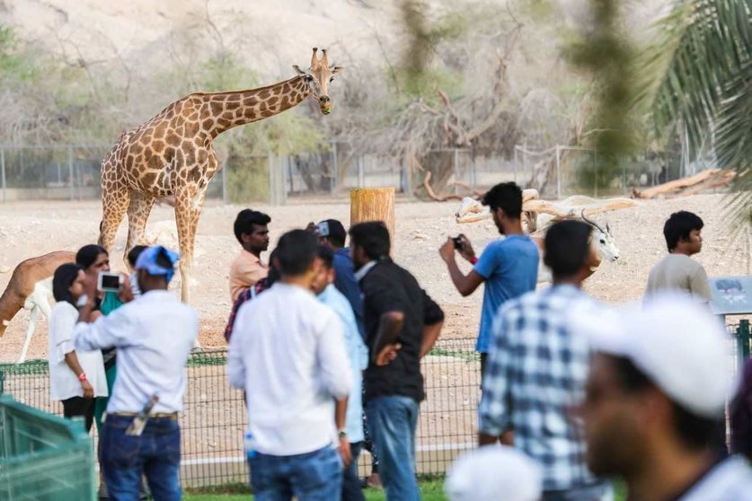 Una imagen del zoo de Al Ain. (WAM)