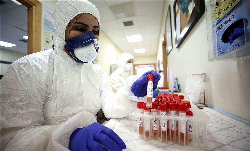 Solo Emiratos y Túnez superan la media mundial de investigadores por millón de habitantes.