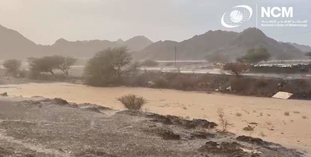 Zonas de EAU inundadas por la lluvia. (Twitter)