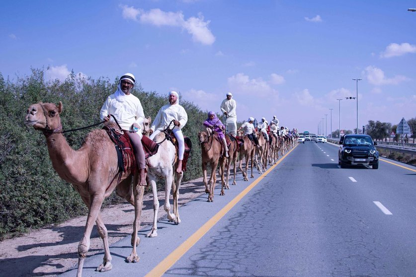 Participantes de la Camel Trek en Dubai. (WAM)