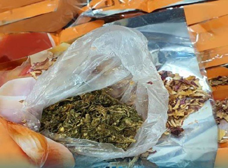 La marihuana escondida en el envío de cebollas. (Dubai Customs)