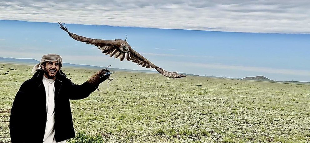 Un halcón vuela libre en Kazajstán. (WAM)